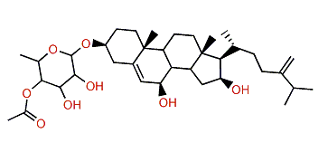 3b,7b,16b-Trihydroxyergosta-5,24(28)-dien 3-O-(4-O-acetyl)-a-L-fucopyranoside